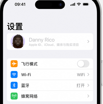 东营appleID维修服务iPhone设置中Apple ID显示为灰色无法使用