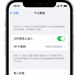 东营apple服务站点分享iPhone上个人热点丢失了怎么办