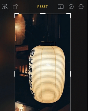 东营苹果手机维修店分享iOS17中一键式裁剪功能使用方法