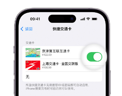 东营apple维修点分享iPhone上更换Apple Pay快捷交通卡手绘卡面 