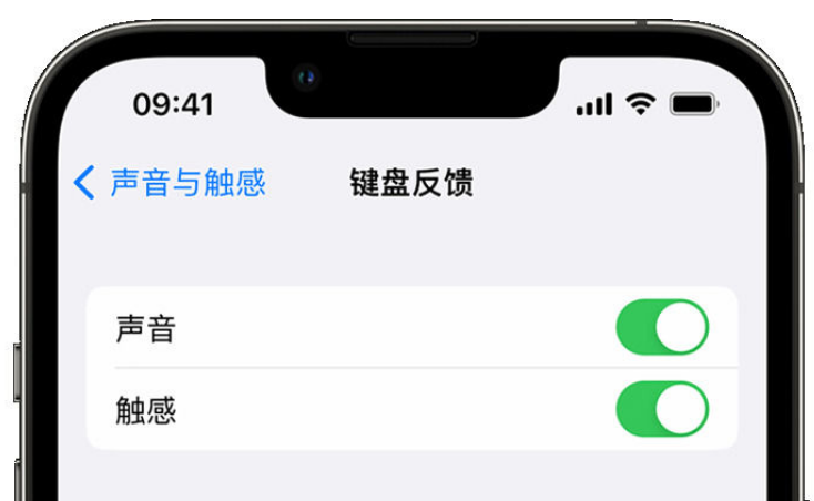 东营苹果手机维修分享iPhone 14触感键盘使用方法 