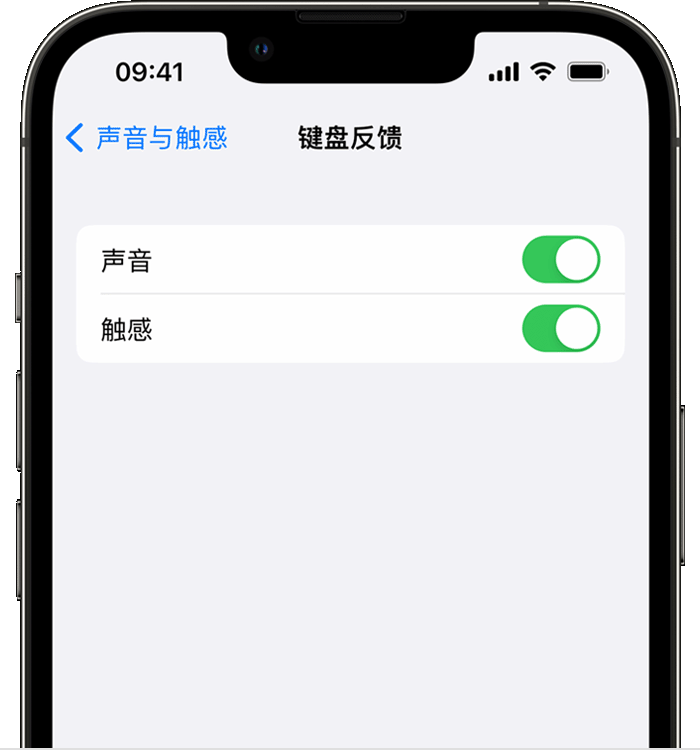 东营苹果14维修店分享如何在 iPhone 14 机型中使用触感键盘 