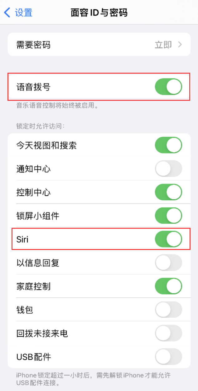 东营苹果维修网点分享不解锁 iPhone 的情况下通过 Siri 拨打电话的方法 