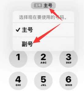 东营苹果14维修店分享iPhone 14 Pro Max使用副卡打电话的方法 