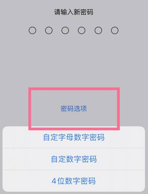 东营苹果14维修分享iPhone 14plus设置密码的方法 