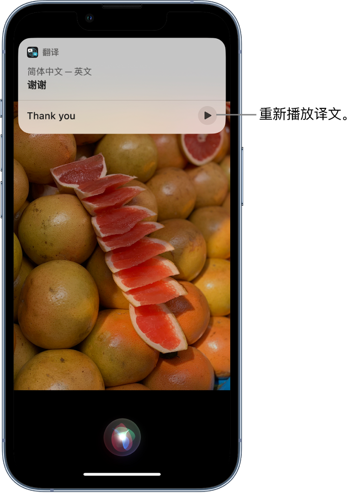 东营苹果14维修分享 iPhone 14 机型中使用 Siri：了解 Siri 能帮你做什么 