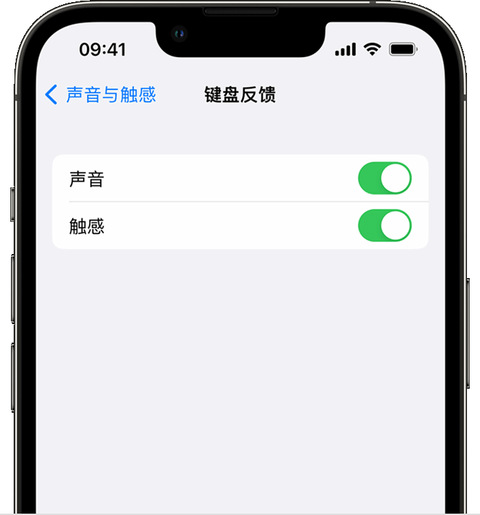 东营苹果14维修分享iPhone 14 系列机型如何开启键盘声音或触感反馈 
