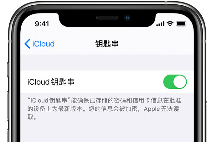 东营苹果手机维修分享在 iPhone 上开启 iCloud 钥匙串之后会储存哪些信息 