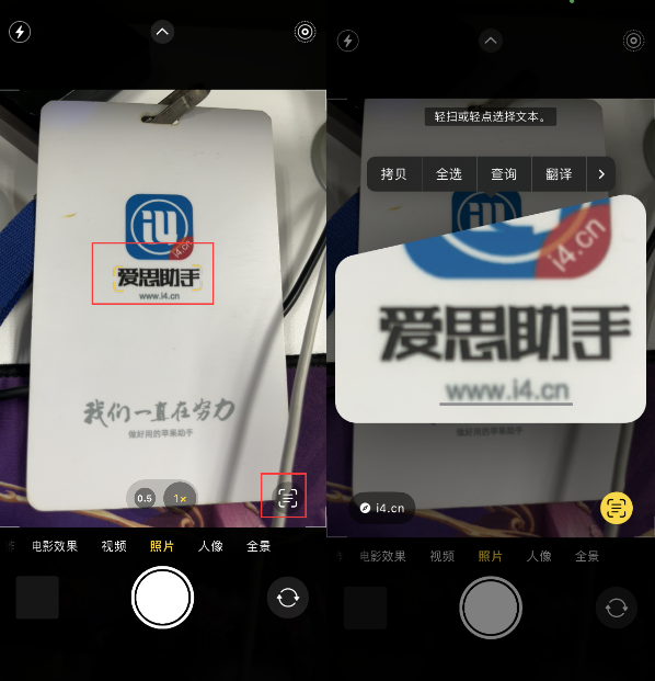 东营苹果手机维修分享升级iOS 16后如何通过相机翻译文本 