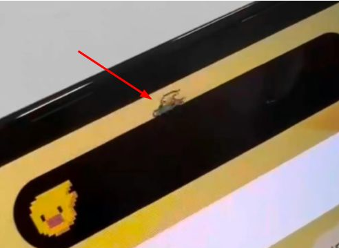 东营苹果14维修分享iPhone 14 Pro Max灵动岛怎么养宠物 
