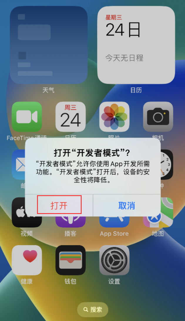东营苹果手机维修分享如何打开开发者模式 
