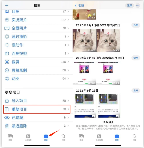东营苹果手机维修分享iOS 16 中相册重复项目功能使用方法 