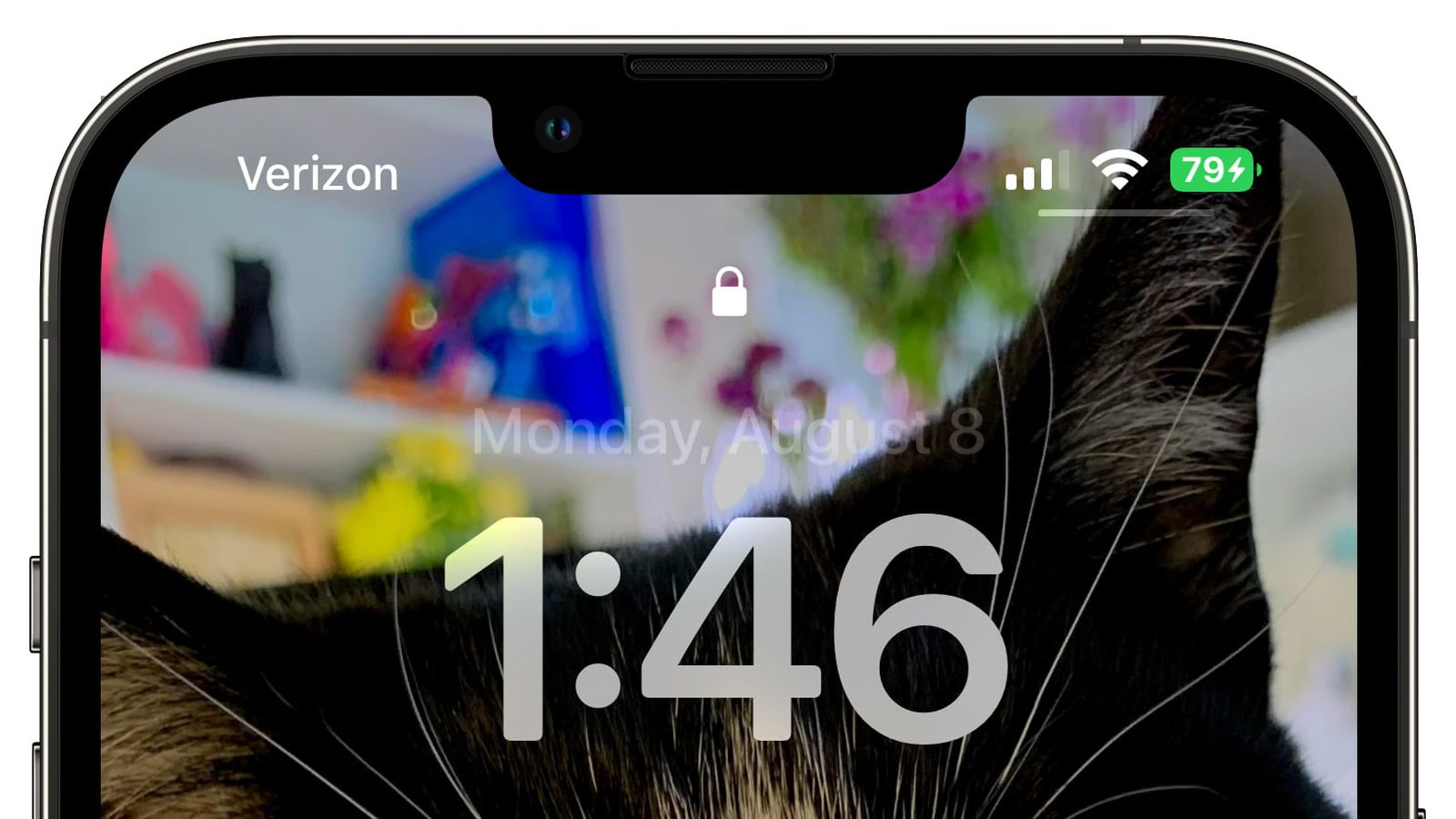 东营苹果手机维修分享iOS 16 beta 5 支持状态栏显示电池百分比，如何开启？支持哪些机型 