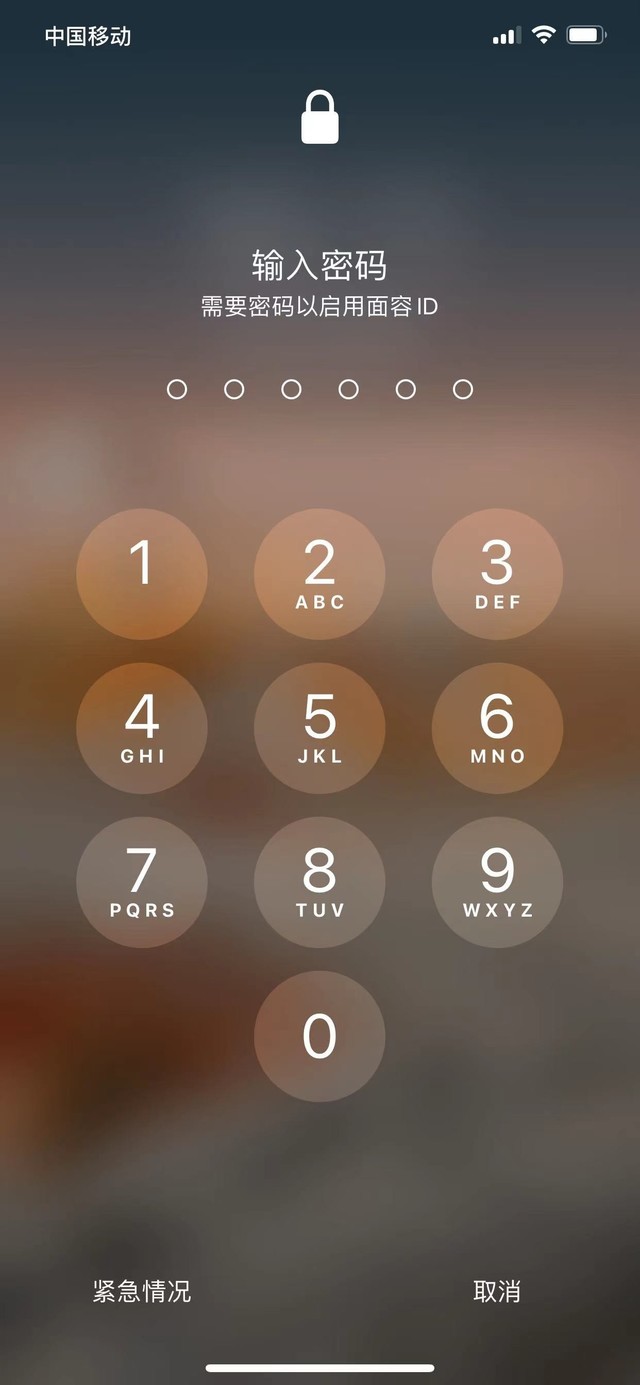 东营苹果13维修分享iPhone 13加强锁屏功能有什么用 