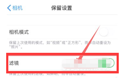 东营苹果13维修分享iPhone13拍照有绿点是怎么回事 