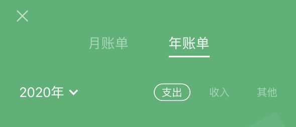 东营苹果手机维修分享如何在 iPhone 上查看支付宝和微信年支出账单 